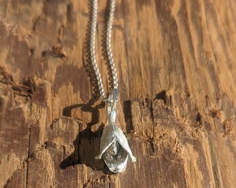 Cardamom Pod Hexagon Charm Pendant - Spice Jewelry in Recycled 925 Silver with Chain