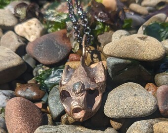 Western Pond Turtle Skull Hexagon Pendant with Montana Sapphire Pendant in Bronze - Cast in Place Third Eye Crystal Talisman