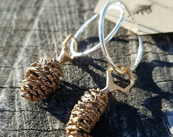 Red Alder Cone Hexagon Bronze Earrings with Sterling Silver Hoops