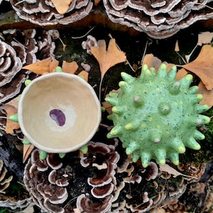Peut inclure: Un bol en céramique beige avec un motif violet et un objet vert épineux sont présentés sur une souche d'arbre recouverte de champignons bruns et blancs et de feuilles mortes. Le bol a un motif violet.