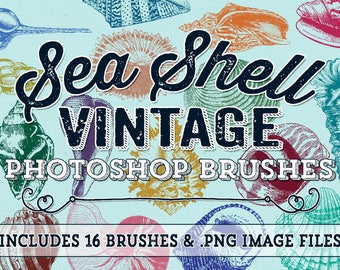 Sea Shell Photoshop Brushes - Vintage Beach Sea Shells Digital Stamps - Beach Shell Clipart Elements