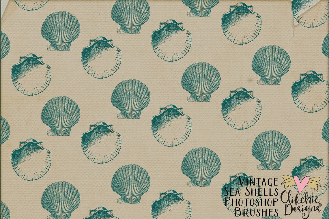 Sea Shell Photoshop Brushes Vintage Beach Sea Shells Digital - Etsy