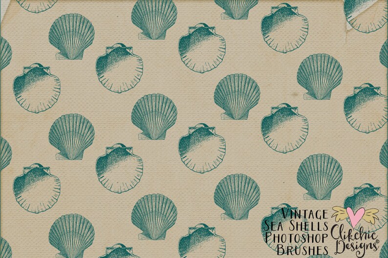 Sea Shell Photoshop Brushes Vintage Beach Sea Shells Digital Stamps Beach Shell Clipart Elements image 3