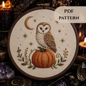 Può includere: Un telaio da ricamo contenente un pannello in tessuto con il disegno ricamato di un barbagianni appollaiato su una zucca arancione. La scena include una mezzaluna dorata, stelle e fogliame. Il testo PDF PATTERN è visibile nell'angolo in alto.