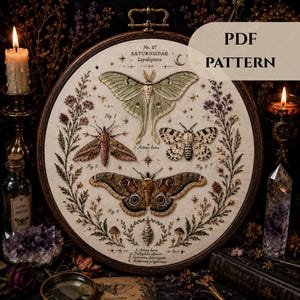 Può includere: Un telaio da ricamo circolare contenente un pannello in tessuto con illustrazioni dettagliate ricamate di quattro diverse falene, etichettate come Fig. 1, 2, 3 e 4, circondate da una ghirlanda botanica e piccole stelle, con il testo PDF PATTERN.