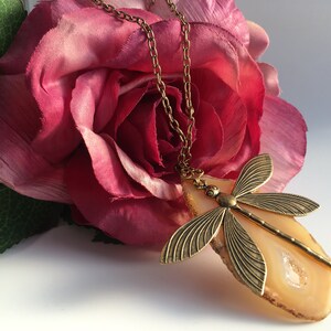 Pode incluir: Colar com pingente de libélula em tom bronze. A libélula tem asas detalhadas e é presa a uma corrente. O pingente é colocado em uma pedra de ágata laranja clara. Uma rosa rosa está no fundo.