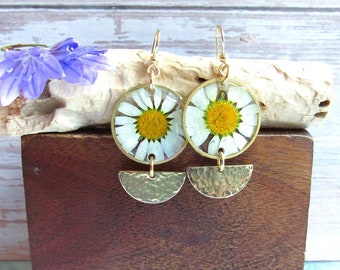 White Daisy Pressed Flower Earrings, Gifts for Mom, Lightweight Botanical Earrings for Her, Flower and Brass Dangle Earrings, April Birth