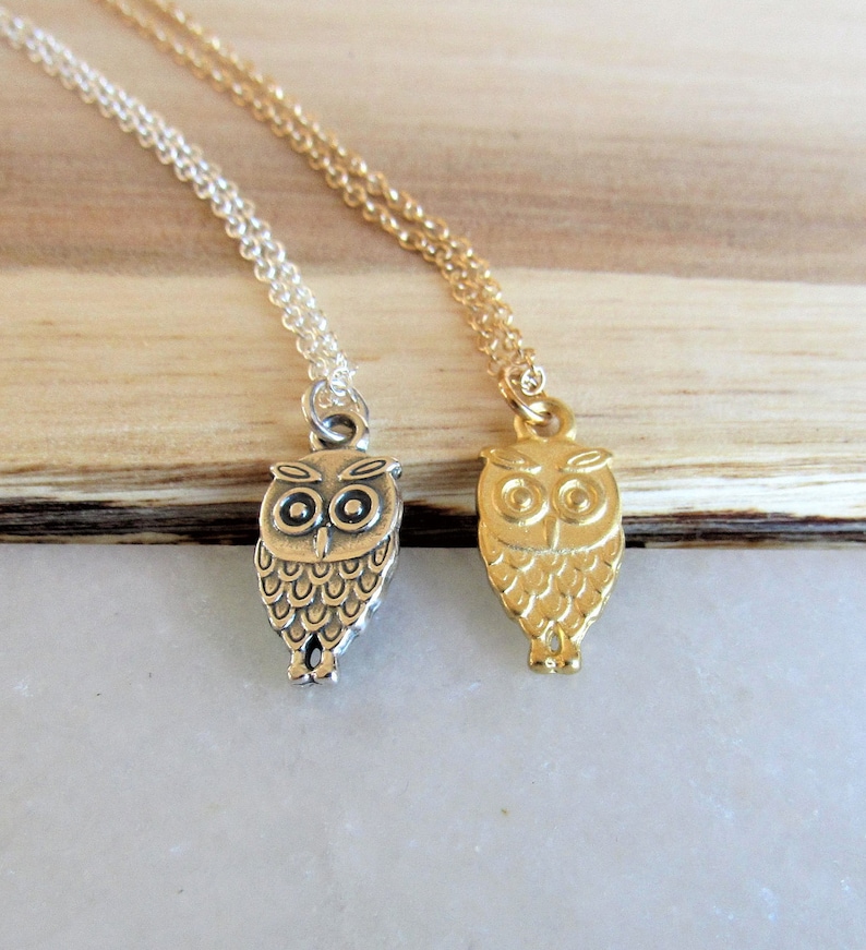 Silver Owl Necklace Tiny Owl Charm Necklace Owl Jewelry Etsy