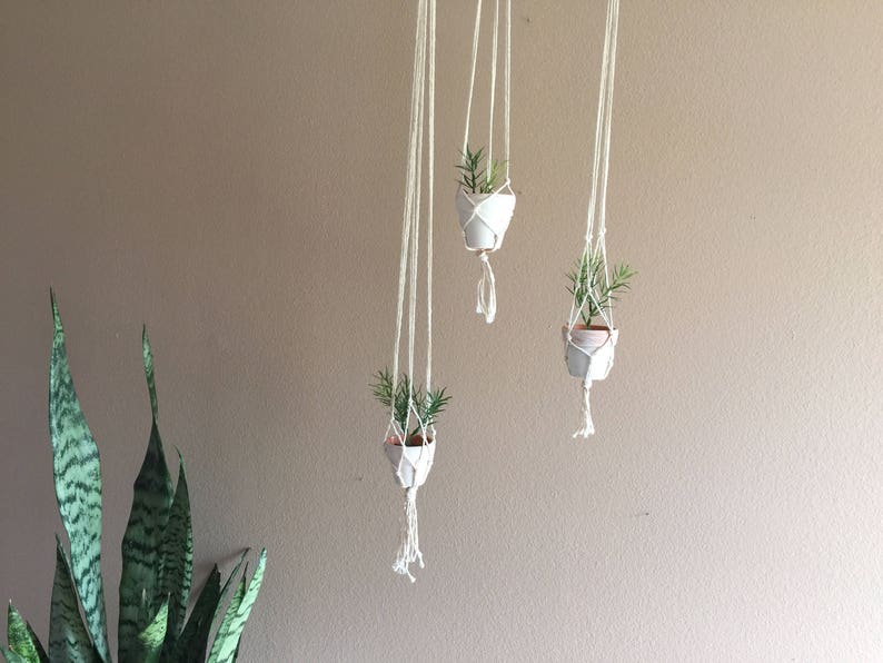 Set of 3 Hanging Macrame Plant Holders Hanger Ceiling