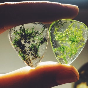 Guitar pick made with moss and pine, music lover, guitar player, guitar accessories, music accessories, music image 7