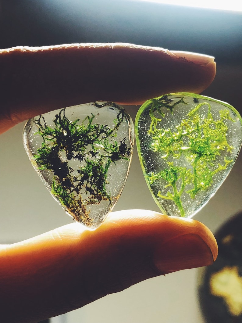 Guitar pick made with moss and pine, music lover, guitar player, guitar accessories, music accessories, music image 7