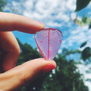 Guitar pick made with skeleton leaf, music lover, guitar player, guitar accessories, music accessories, music, musician