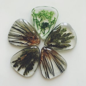 Guitar pick made with moss and pine, music lover, guitar player, guitar accessories, music accessories, music