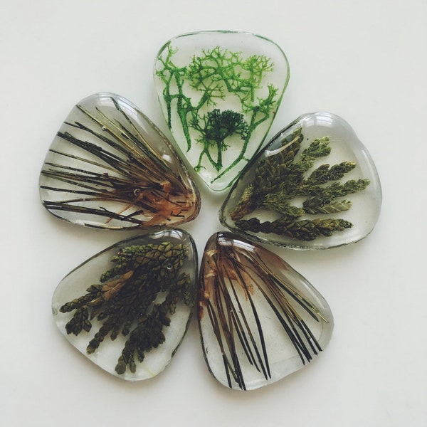 Guitar pick made with moss and pine, music lover, guitar player, guitar accessories, music accessories, music