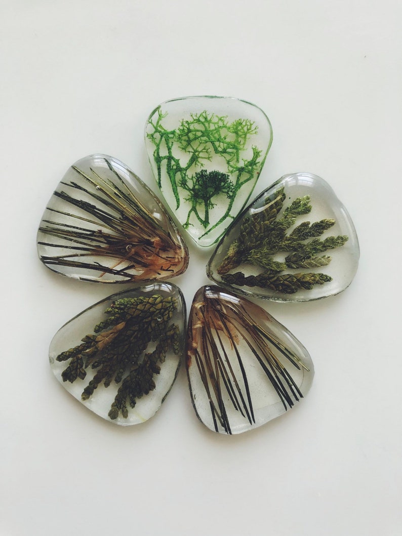 Guitar pick made with moss and pine, music lover, guitar player, guitar accessories, music accessories, music image 1