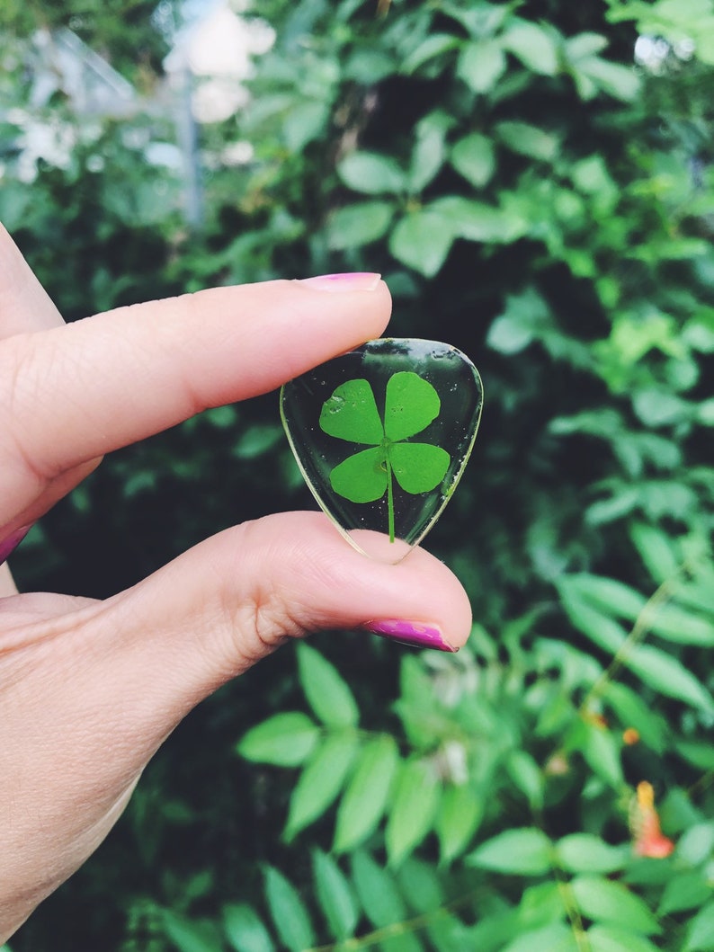 Guitar pick CHARM made with natural 4 leaf clover, music lover, guitar player, guitar accessories, music accessories, music, musician image 4