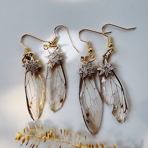 Cicada wing earrings real wings.