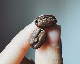 Orecchini al caffè. Orecchini con chicchi di caffè naturali con perni in acciaio chirurgico anallergico.
