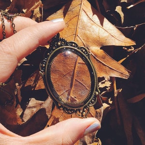 May include: A vintage gold-toned pendant necklace with a clear glass oval charm. The charm is filled with a dried leaf, and the necklace is lying on a bed of brown leaves.