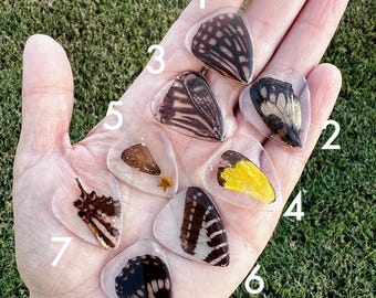 Butterfly Wing Guitar Pick: Cruelty-Free Resin, Music Lover Gift