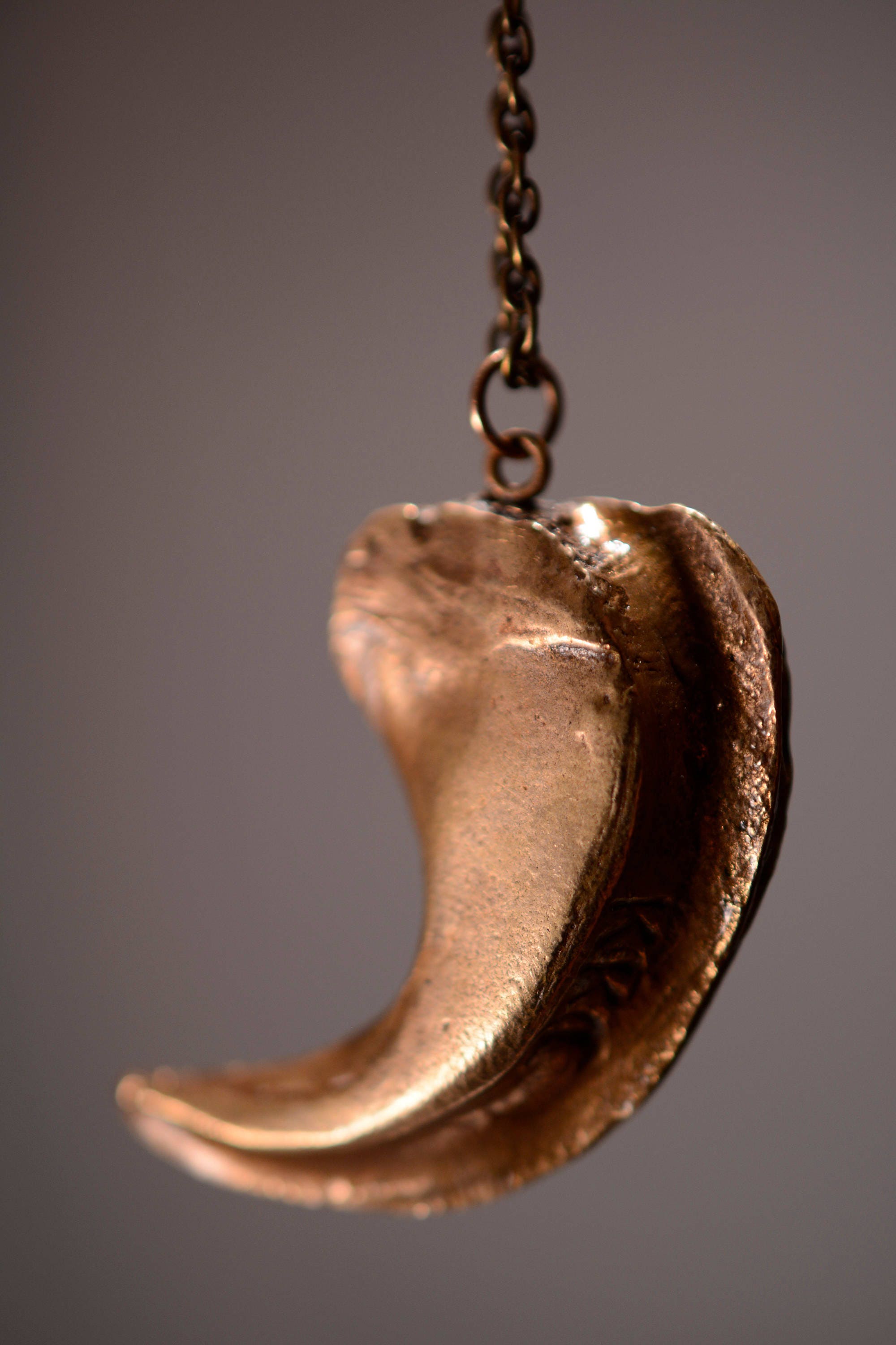 Pendentif réplique griffe de lion : collier en pâte polymère naturelle - Canada
