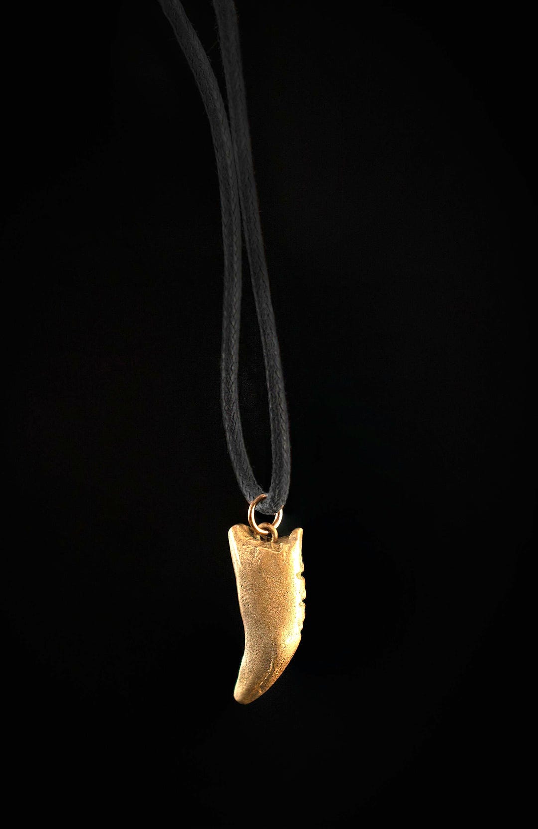 Double Lion Teeth Lion Nail Gold Locket Striking African Lion Cub