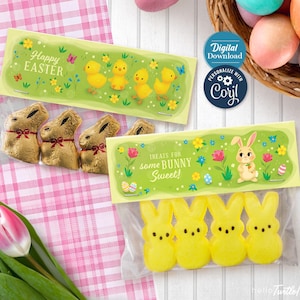 May include: Two printable Easter treat bag designs. The first design features a green background with yellow chicks and the text "Happy Easter". The second design features a green background with a bunny holding a carrot and the text "Treats for some Bunny Sweet!"
