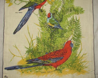 Vintage Ross Souvenir Geschirrtuch - Australische Vögel - O'Reilly's Lamington National Park Queensland