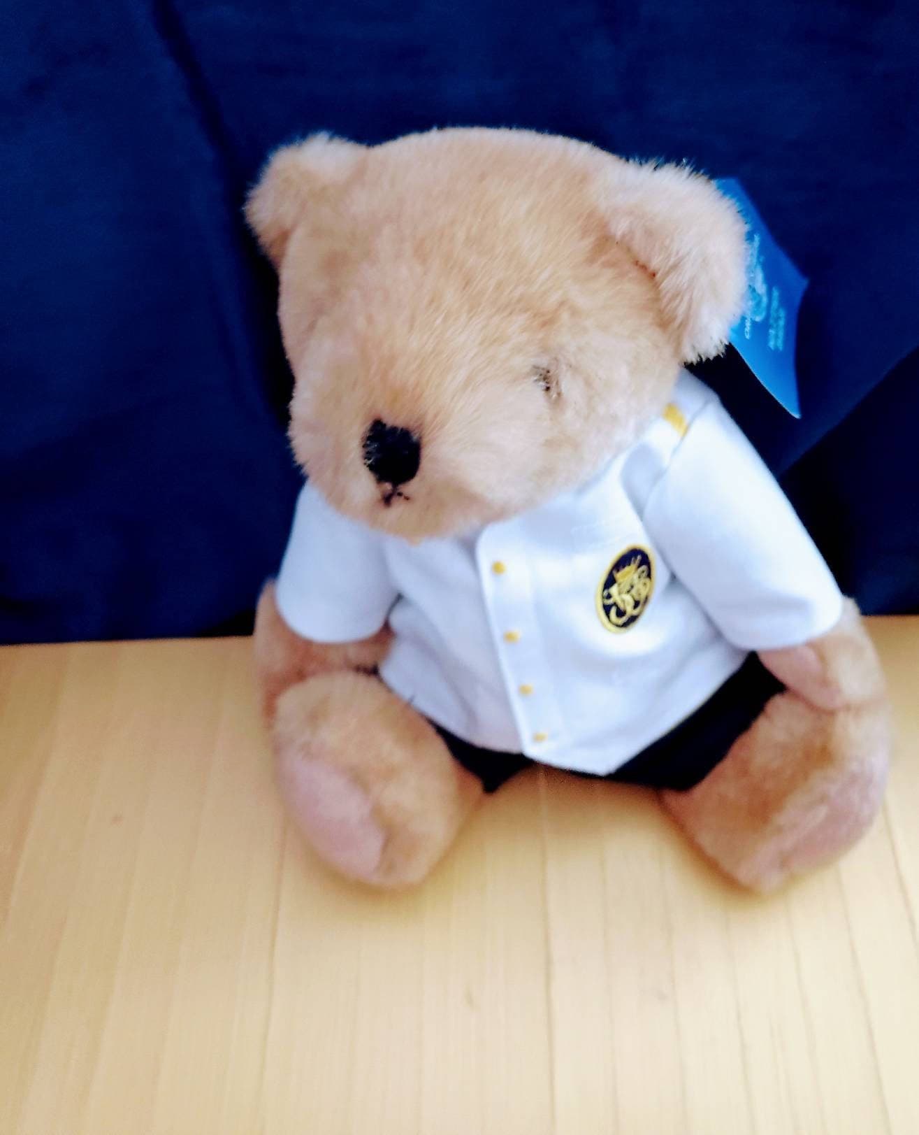 Venice Simplon Orient Express Teddy Bear. Train Collectable Gift