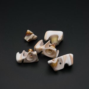Puede incluir: Cinco pequeños objetos con forma de concha, de color blanco y marrón, con un patrón de espiral. Los objetos están dispuestos sobre una superficie negra.