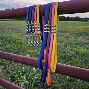 May include: A collection of multi-colored dog leashes made of a smooth, flexible material. Each leash features a silver-toned metal swivel snap hook and three silver-toned rivets securing the loop. The leashes are blue, black, purple, pink, and yellow.