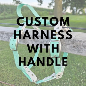 May include: A mint green harness with a handle, featuring silver-toned metal buckles and rivets. The harness is constructed from smooth, flexible material and includes adjustable straps with multiple holes for a secure fit. Text reads: CUSTOM HARNESS WITH HANDLE.