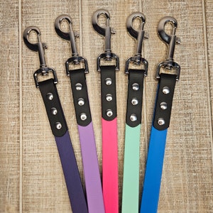 BioThane® Waterproof Dog Clip Leash - 3/4 Inch Wide Lead Two Colors- Durable and Easy to Clean Standard Snap Training Lead - Silver Hardware