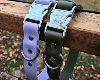 1 Inch Wide BioThane® Waterproof Dog Collar - Solid Color - Durable and Easy to Clean Pet Collar - Silver Hardware