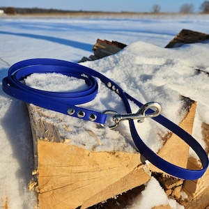 May include: A royal blue dog leash featuring a smooth, flexible strap with silver-toned metal rivets and a sturdy, polished silver-toned swivel snap hook at the end. The leash is coiled, showcasing its durable construction and vibrant color.
