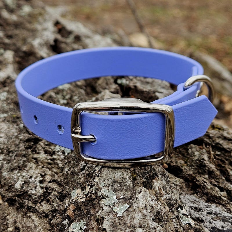 Wide Puppy Collar - Etsy - Page 2