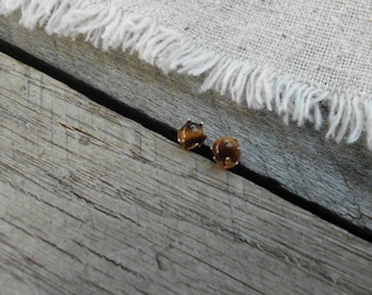 Tiny Gold Filled Tiger Eye Post Earrings