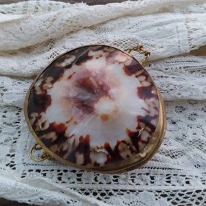 Victorian Shell Coin Purse -Ring Box