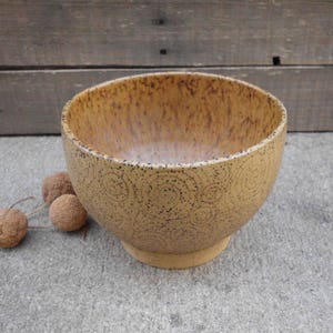 May include: A brown ceramic bowl with a speckled pattern. The bowl has a rounded shape and a wide rim.