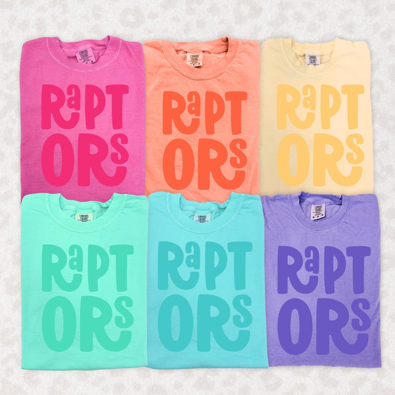 Raptors Chunky Retro Mascot 6 Colors| PNG 300dpi | Digital Design | DTF ...