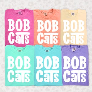 Bobcats dikke retro-mascotte | PNG-bestand (300 dpi) | Digitaal ontwerp | DTF | Zeefdruk | Direct downloaden | Spirit Wear | Middelbare school