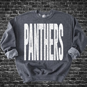 Könnte beinhalten: Ein dunkelgraues Sweatshirt mit dem Wort "PANTHERS" in großen, weißen Blockbuchstaben. Das Sweatshirt hat einen Rundhalsausschnitt und umgeschlagene Ärmel. Der Hintergrund ist eine dunkle Backsteinmauer.