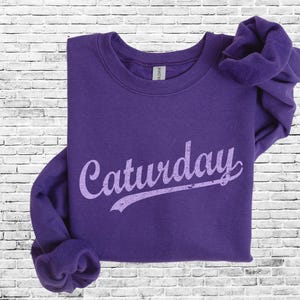 Caturday Wildcats 4 opzioni di colore PNG 300 dpi Design digitale - Stampa serigrafica DTF a sublimazione Download immediato Calcio Basket Manhattan