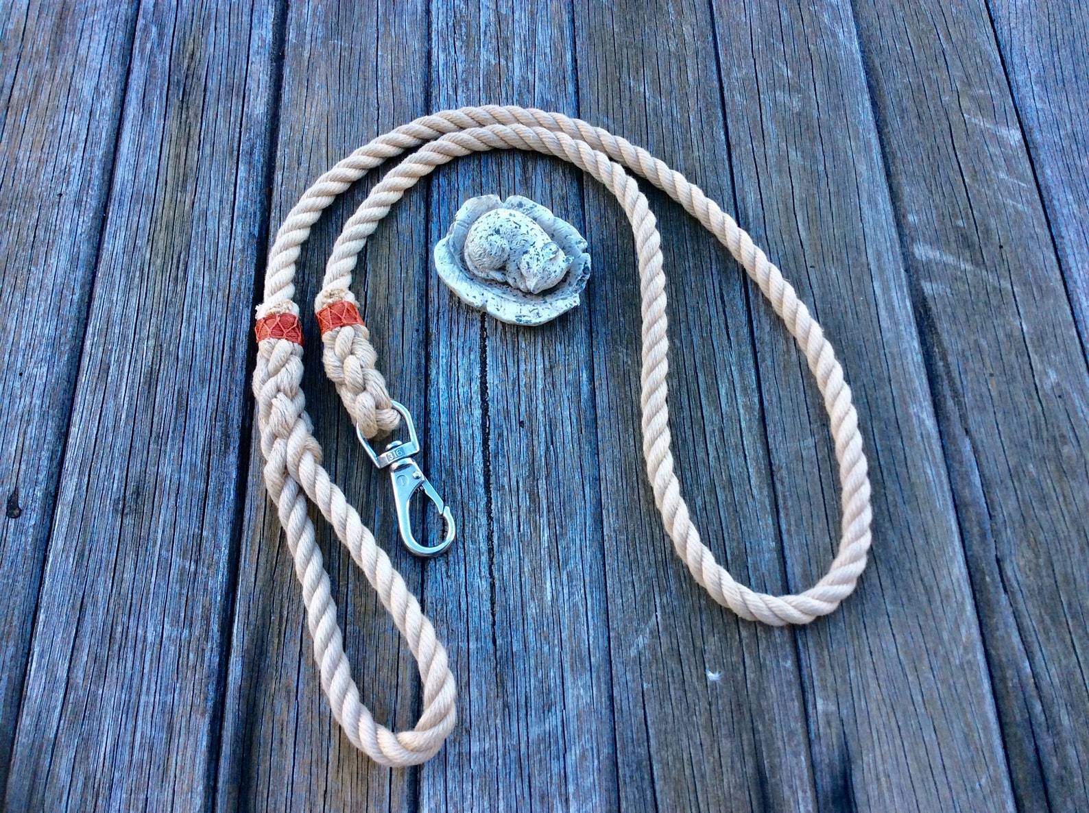 27+ Unique Dog Leashes For All Occasions