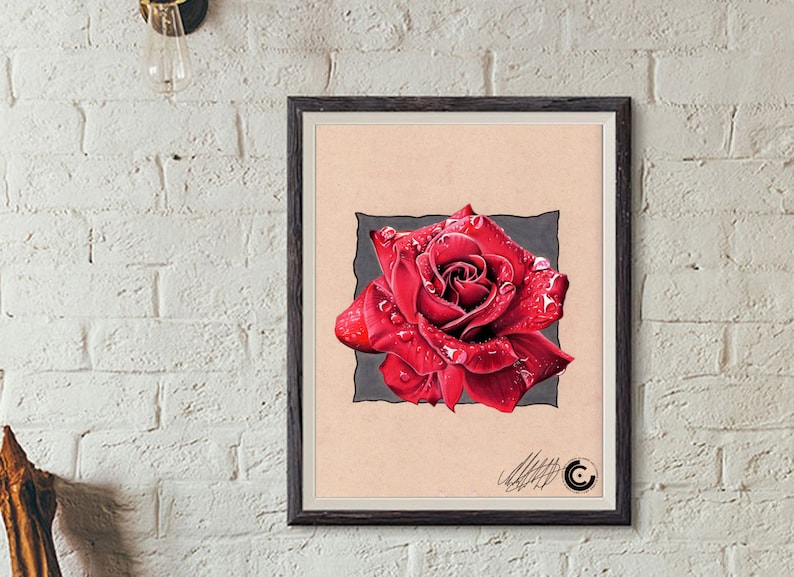 Red Rose Limited Edition Print