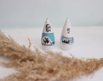 Montana Salt and Pepper set, Boho style, Teal decor, farmhouse decor, Big Sky Country, Rodeo