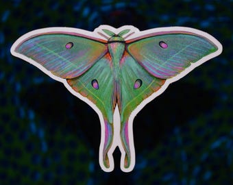 Luna Moth Sticker / Vinyl Sticker / Bug Art / Colorful Luna Moth / Pastel Moth / Laptop sticker / Cool Stickers nature lover animal sticker
