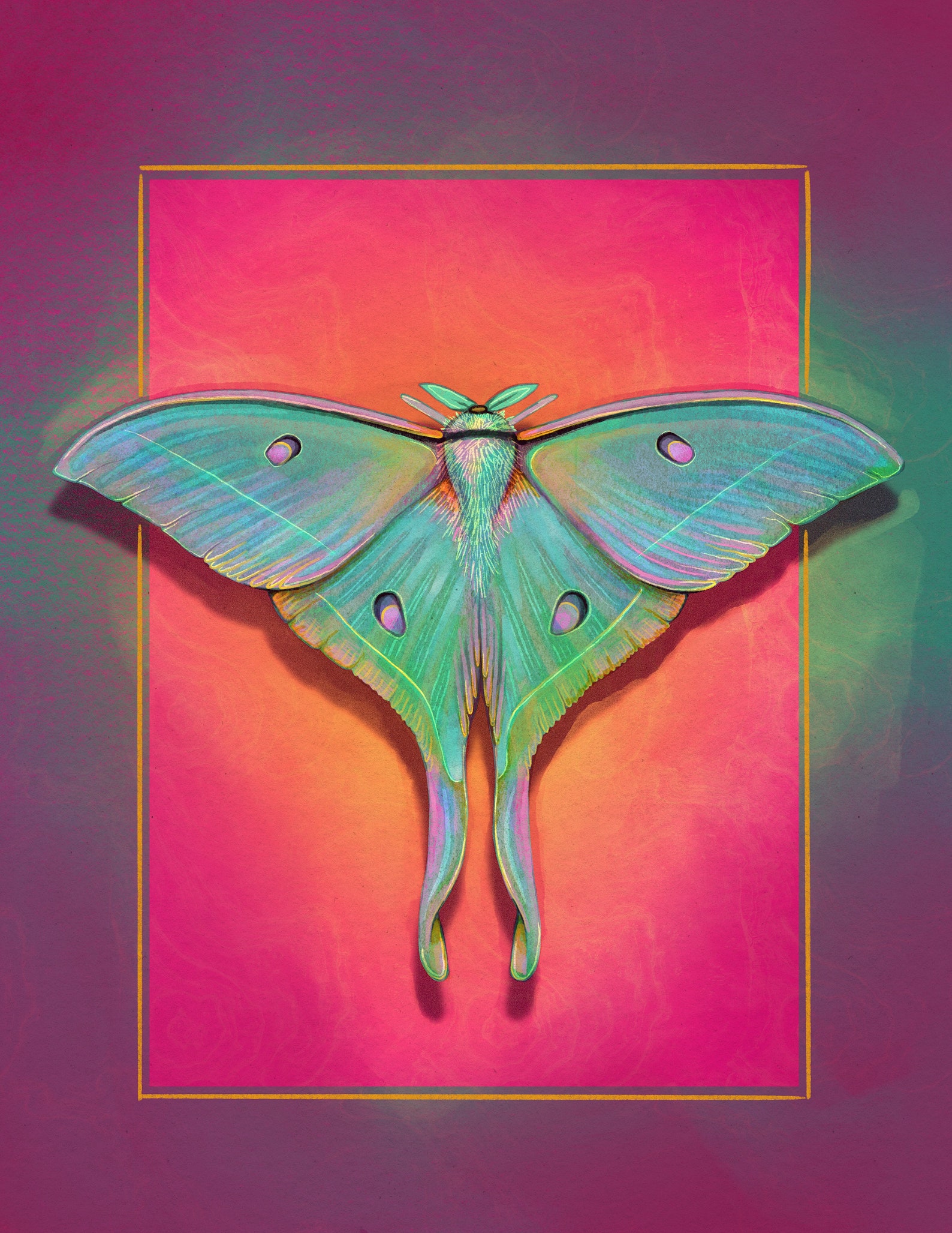 Luna Moth Art Print / Bug Art Print / Funky Home Decor / Pink Wall Art ...