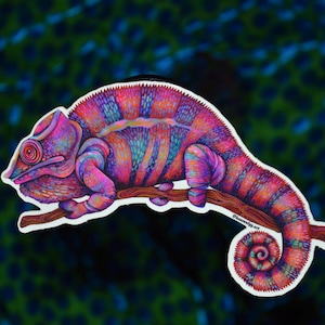 Chameleon Sticker / Vinyl Sticker / Chameleon Art / Pastel Chameleon / Laptop sticker / Cool Stickers / Weird Stickers / Pink Chameleon