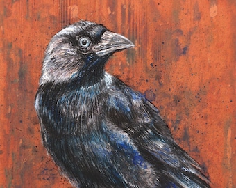 Jackdaw - unframed A4 - 21x29cm - contemporary style bird drawing - corvid lover - colourful modern wall art - crow - raven